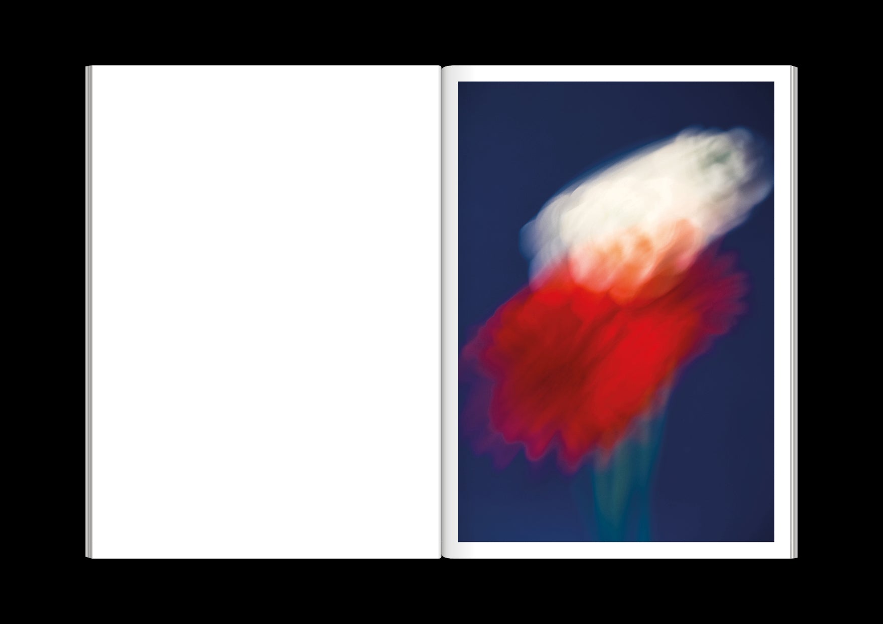 The Chromatics of Flowers