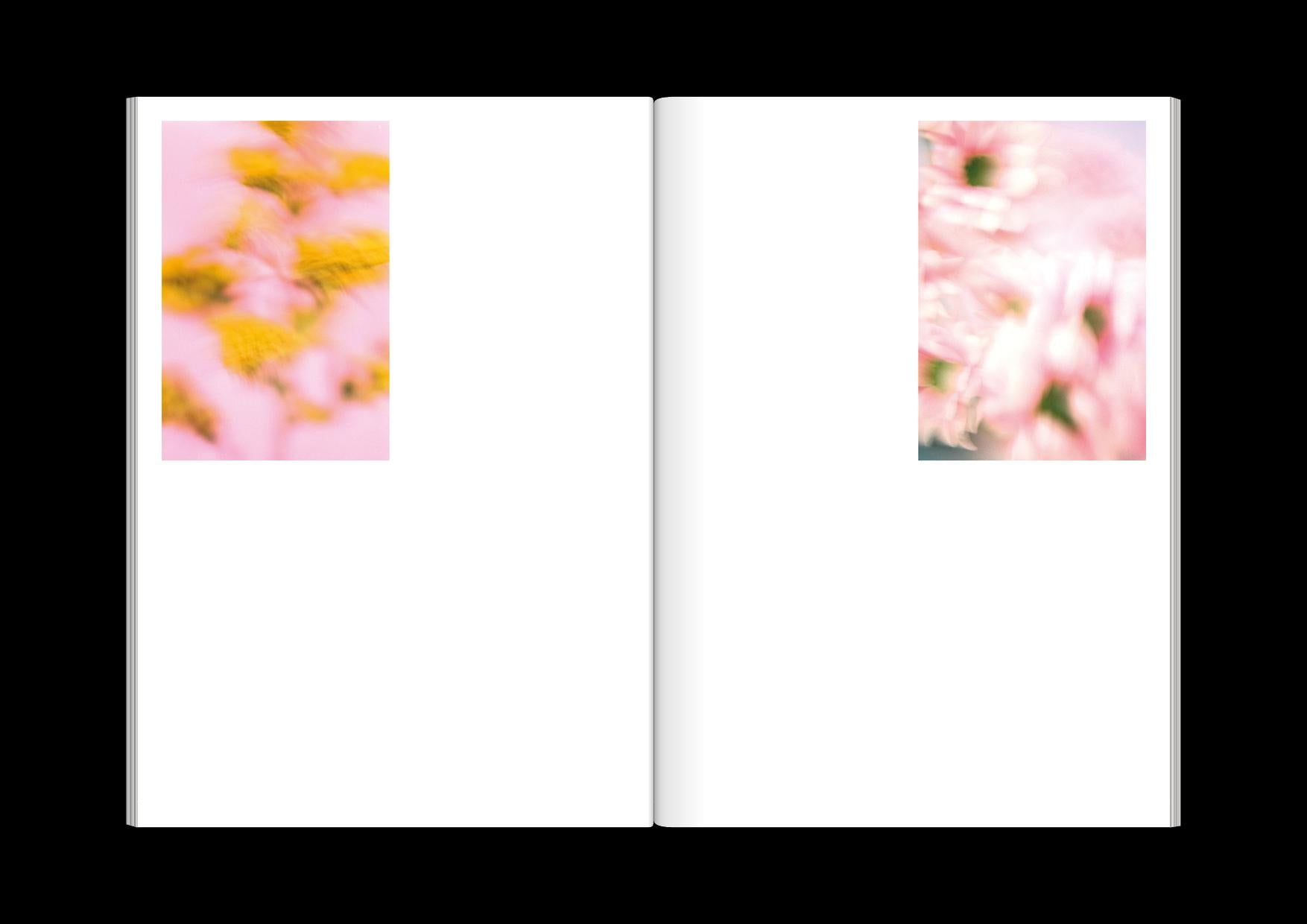 The Chromatics of Flowers