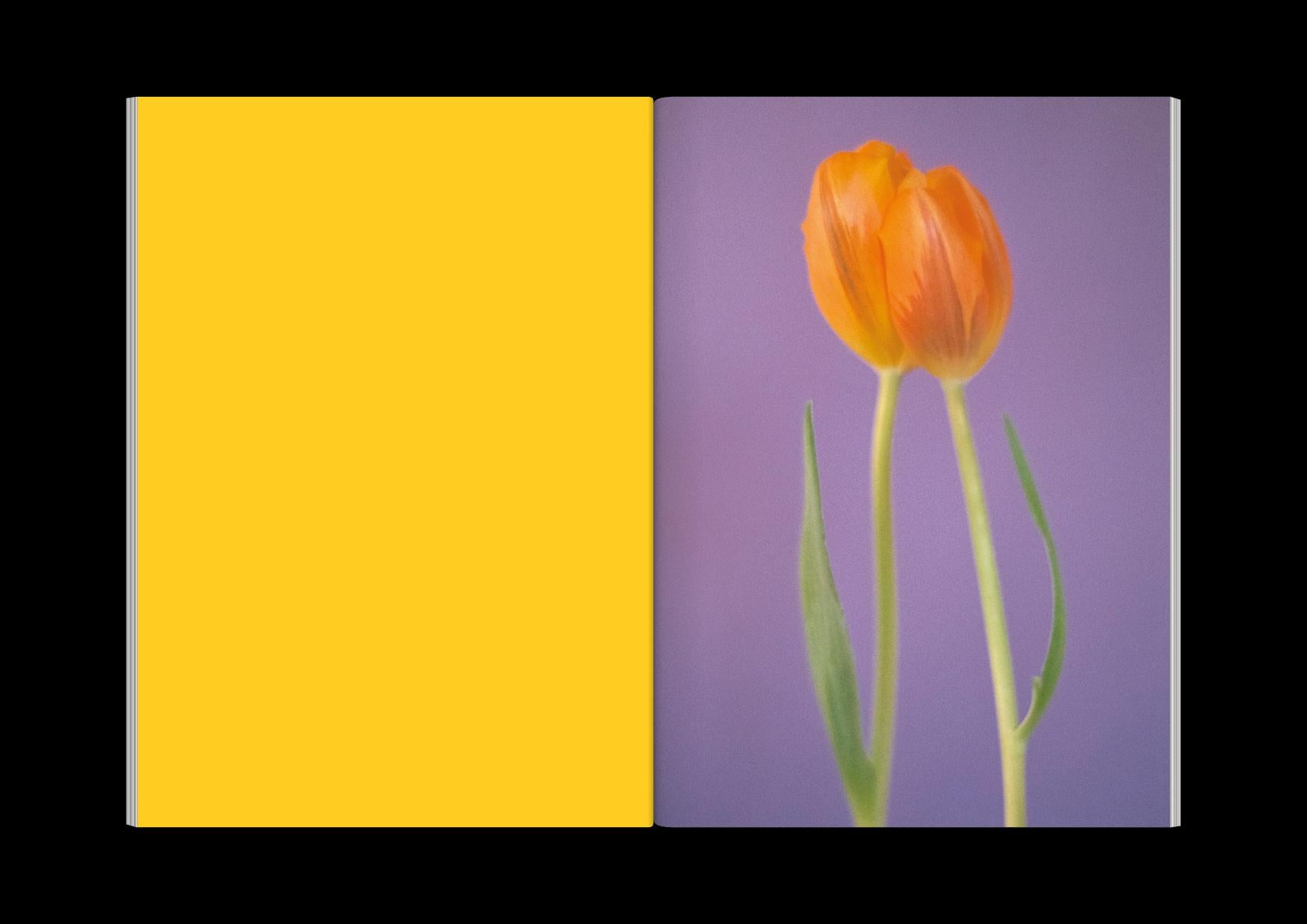 The Chromatics of Flowers
