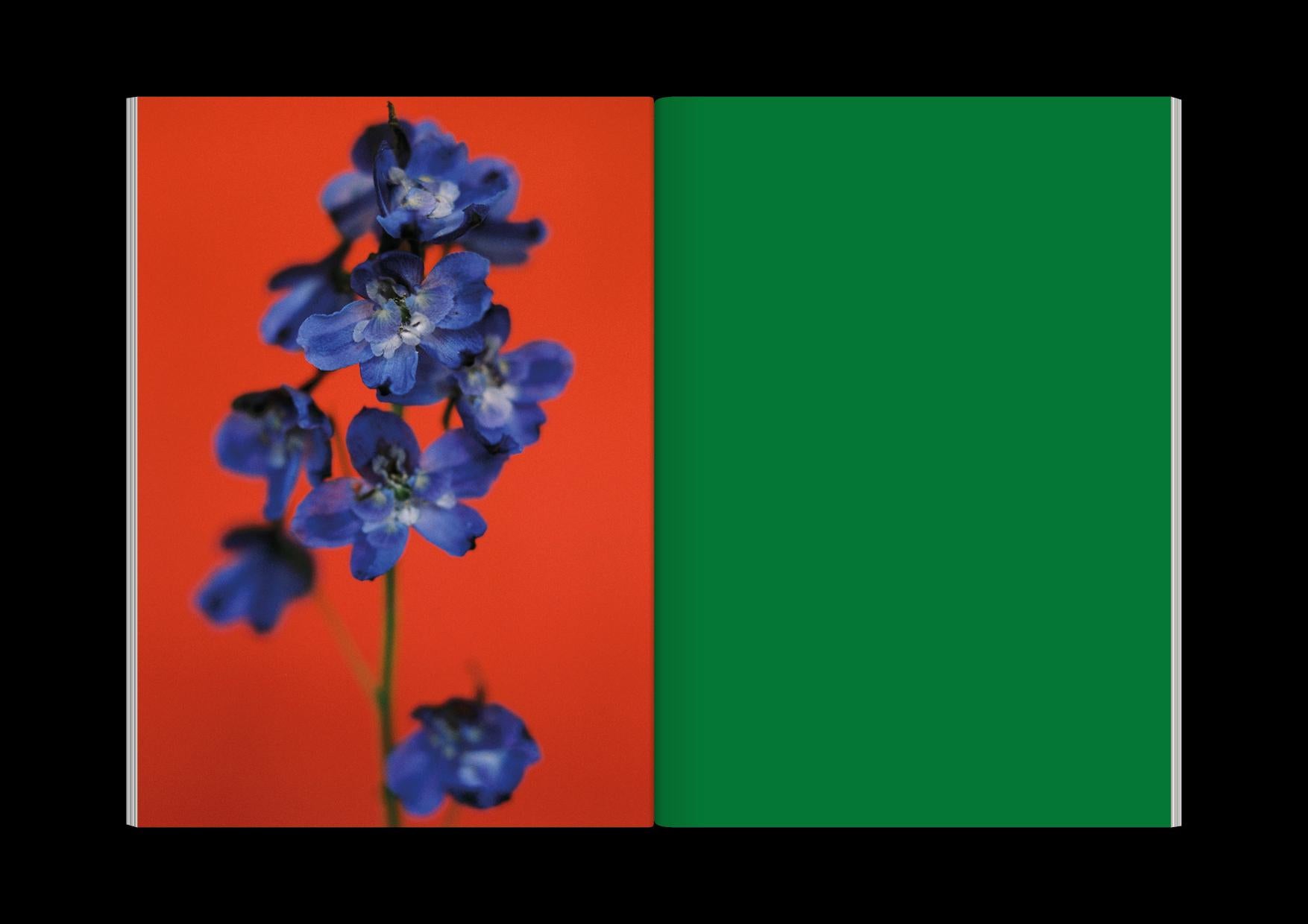 The Chromatics of Flowers