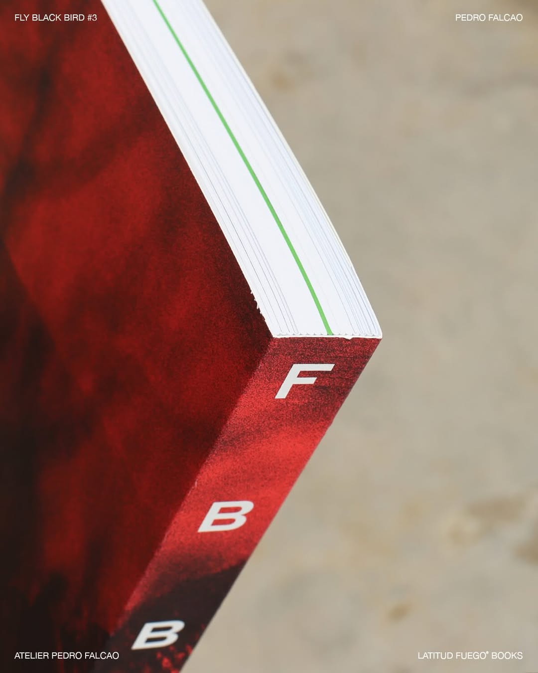 Fly Black Bird nº3