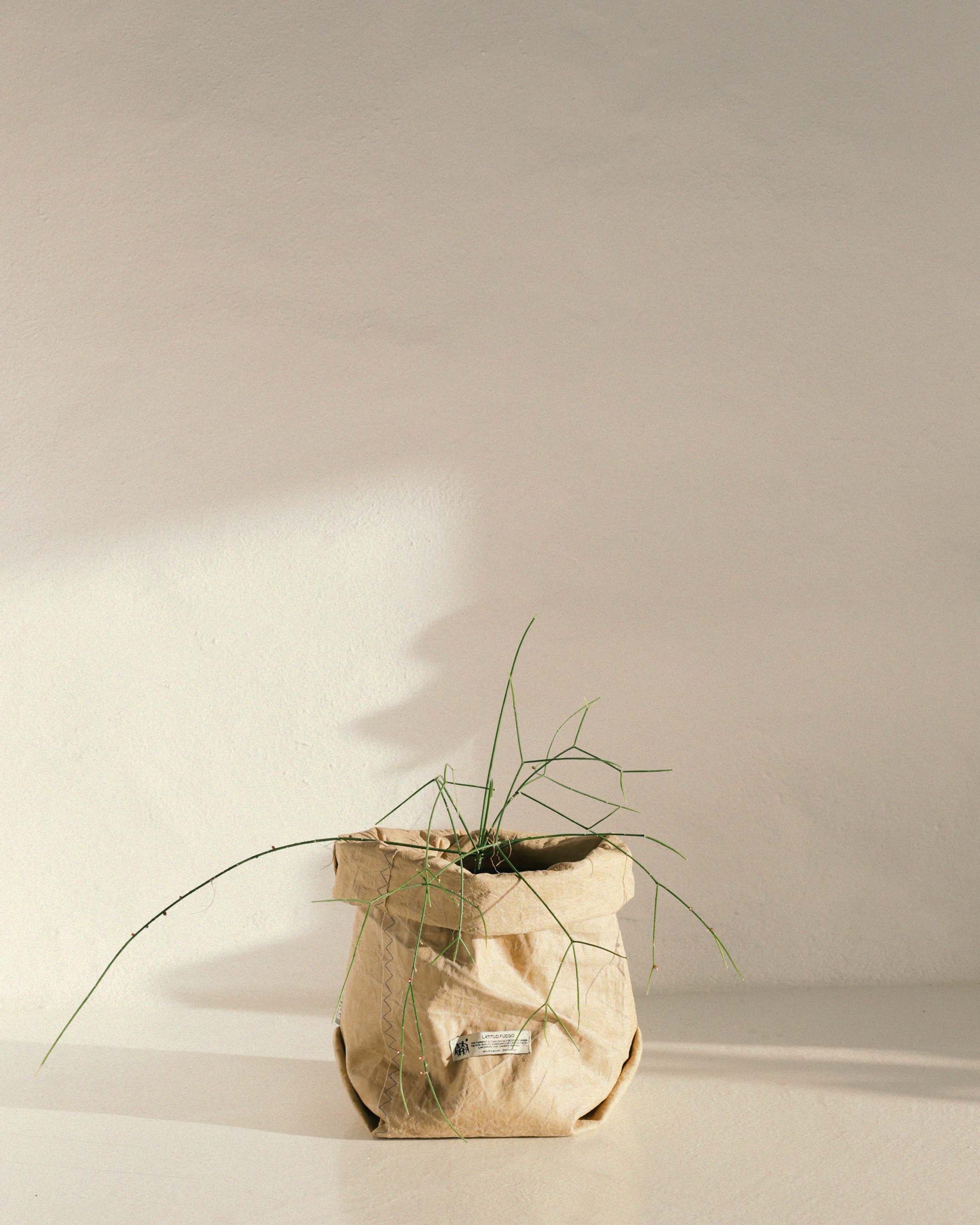 SACOS FTV STUDIO x LATITUD FUEGO® · Beige M