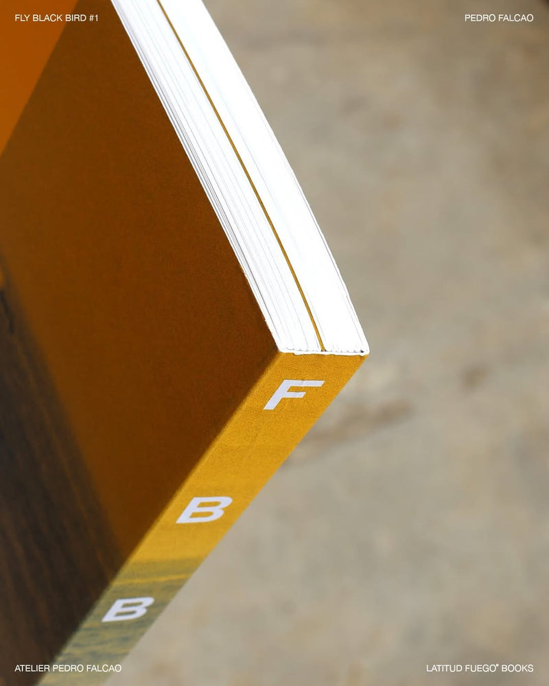 Week 152 · Surf and design: this is Fly Black Bird