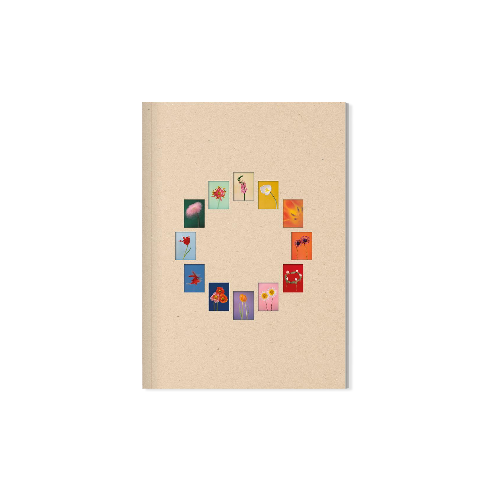 The Chromatics of Flowers