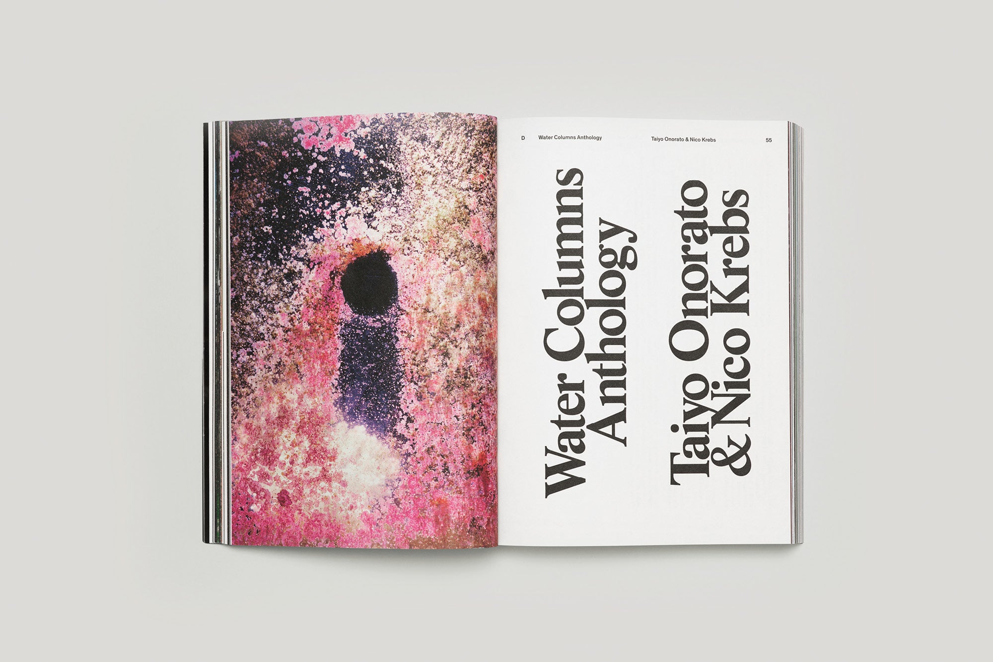 Acid Magazine 6 - Whatever surfing means