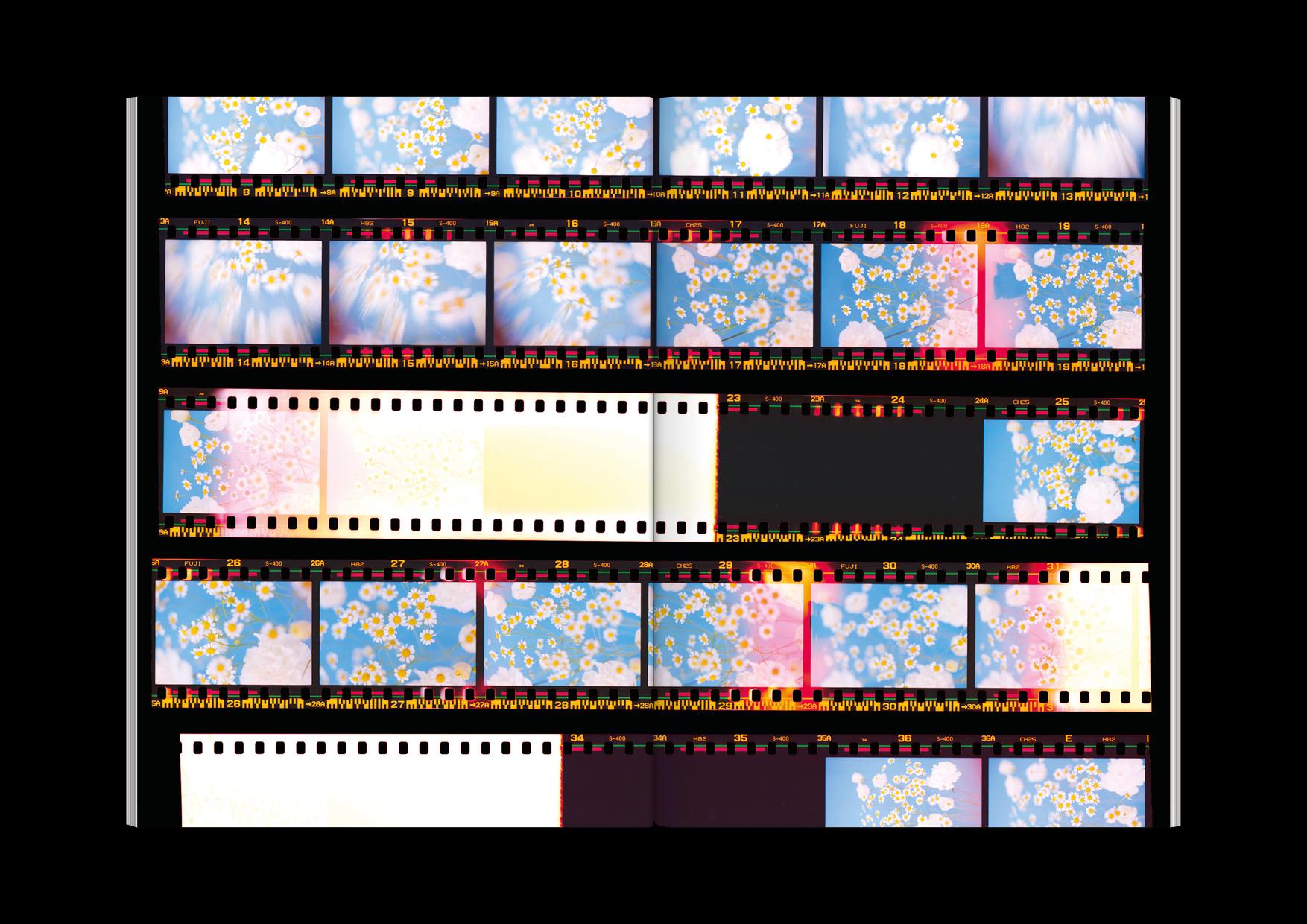 The Chromatics of Flowers