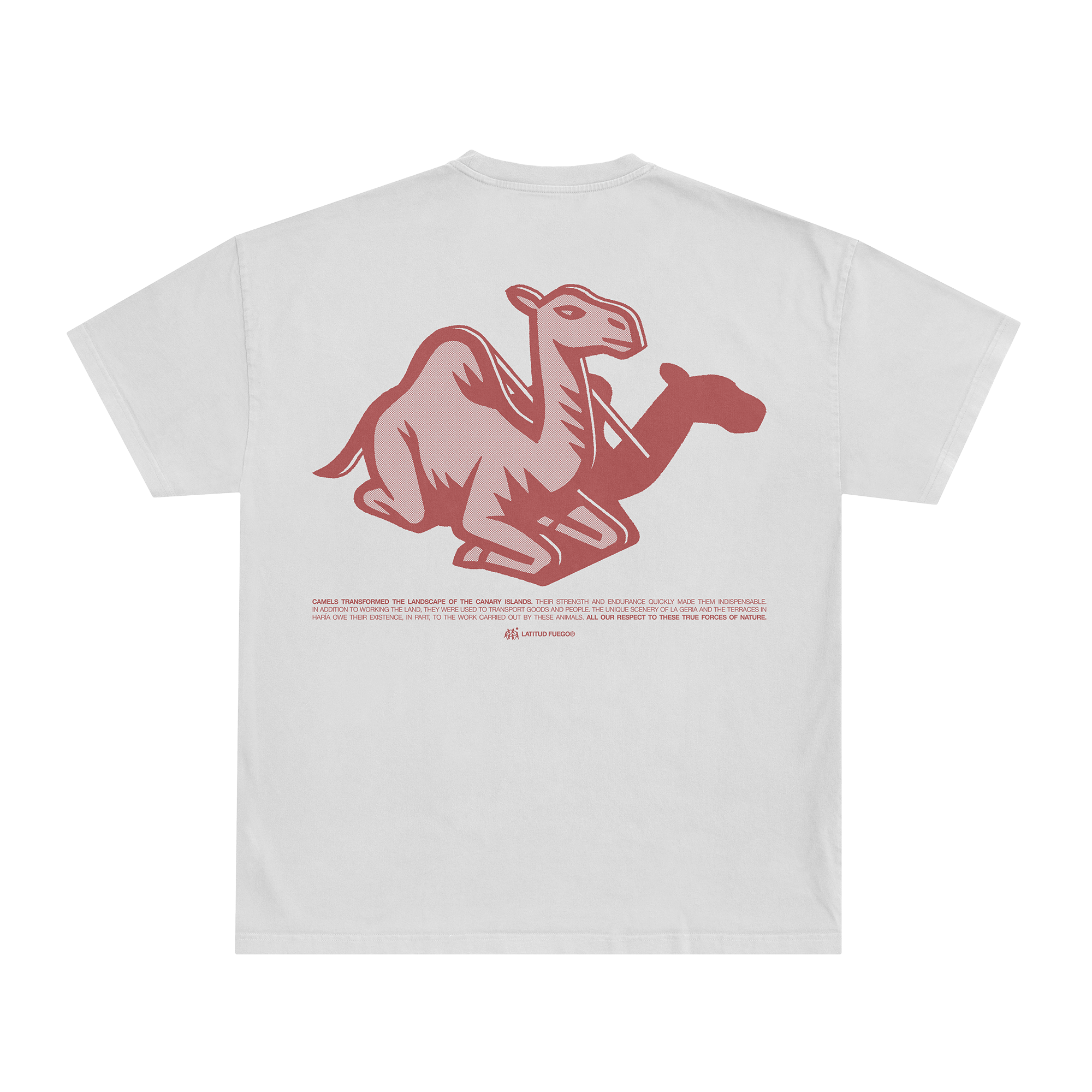 LF · FN Camel T-Shirt · Ecru