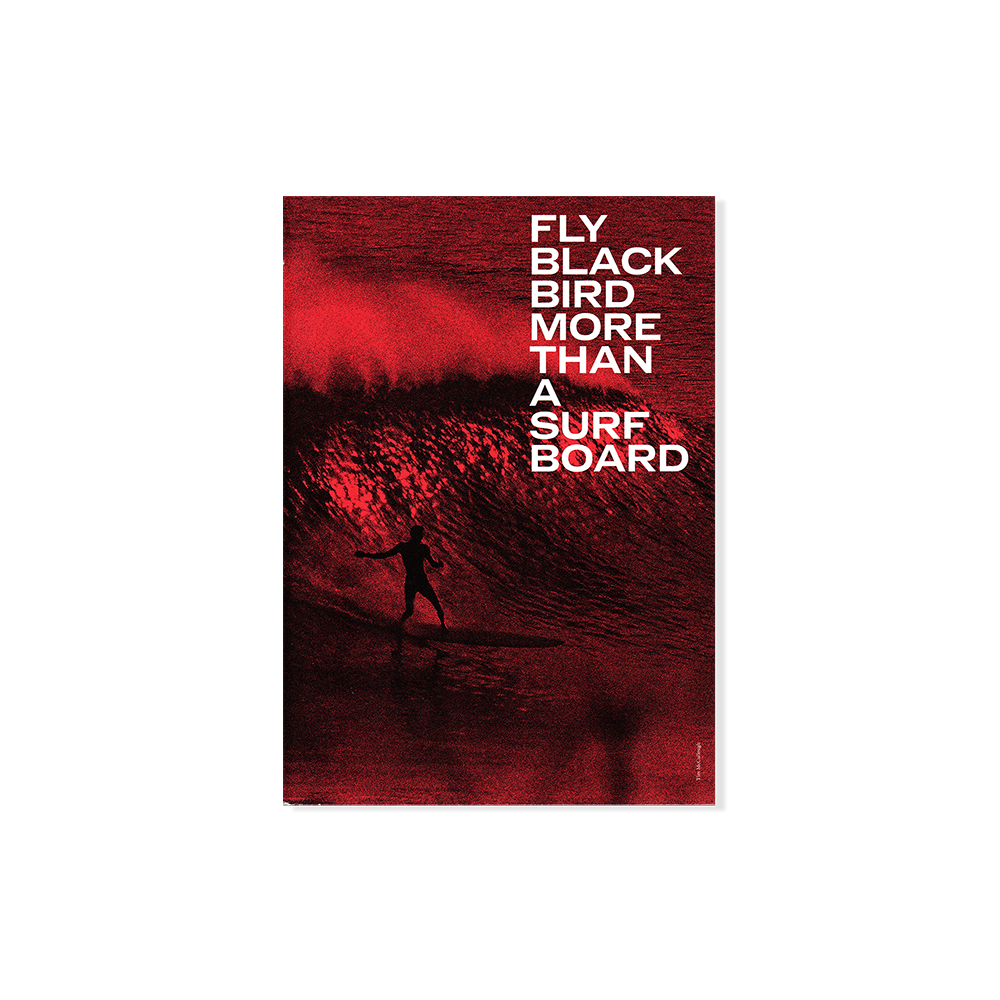Fly Black Bird nº3