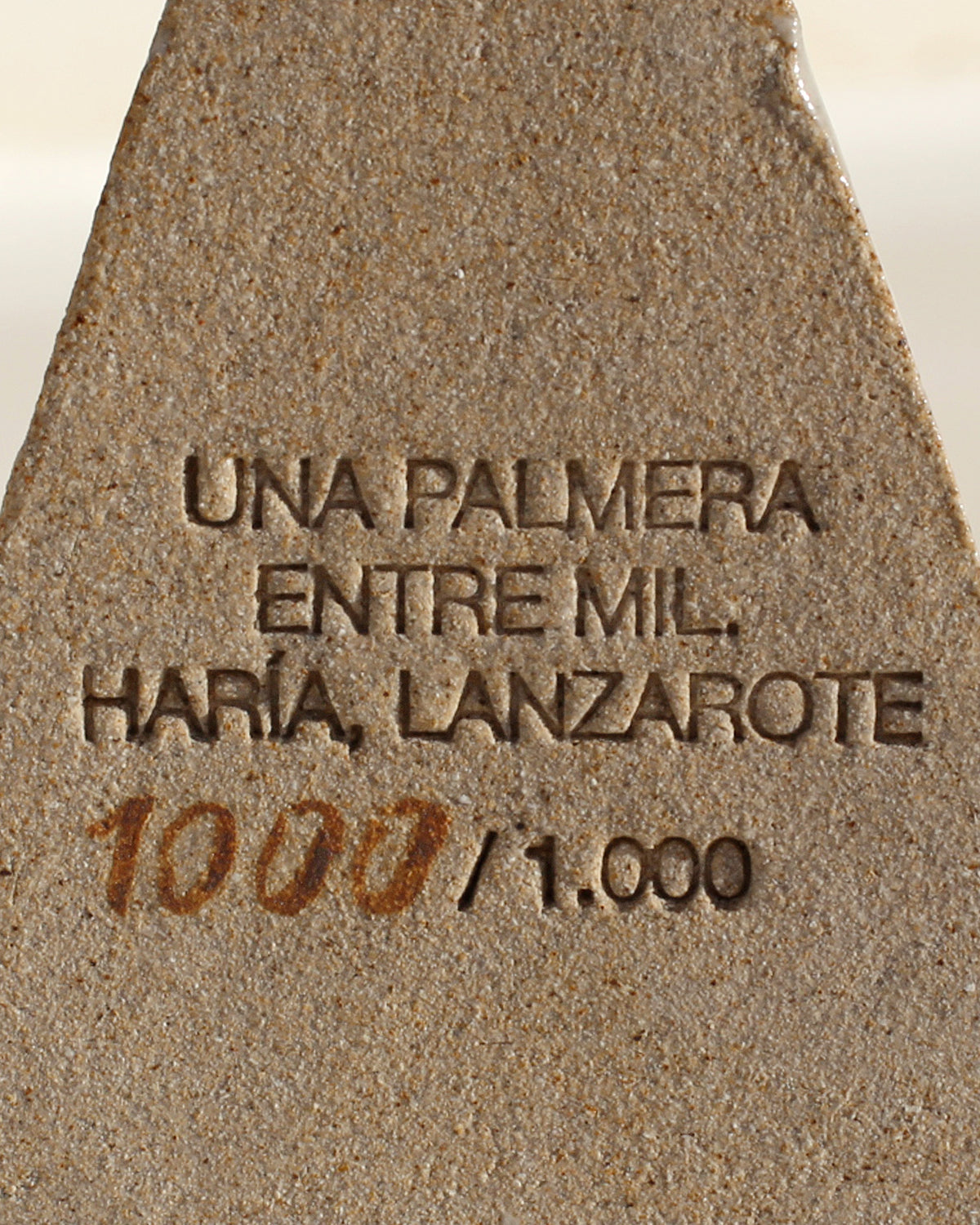 UNA PALMERA ENTRE MIL by Latitud Fuego® X Estudio Vernís®