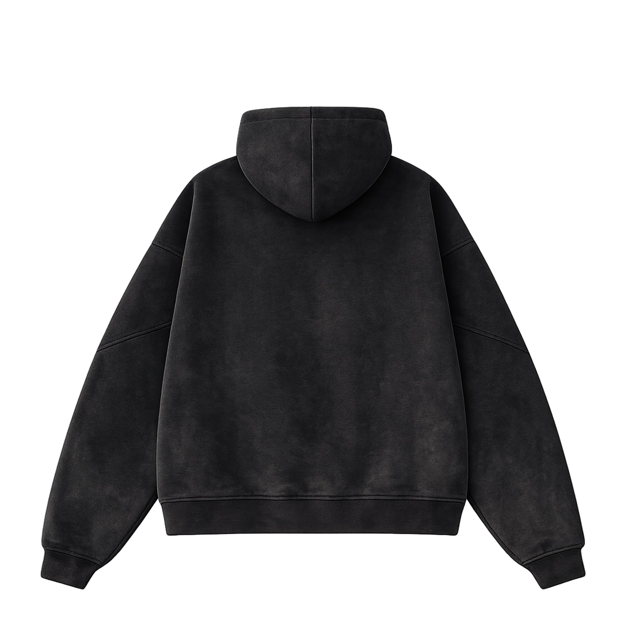 WS Hoodie Zip International · Faded Black