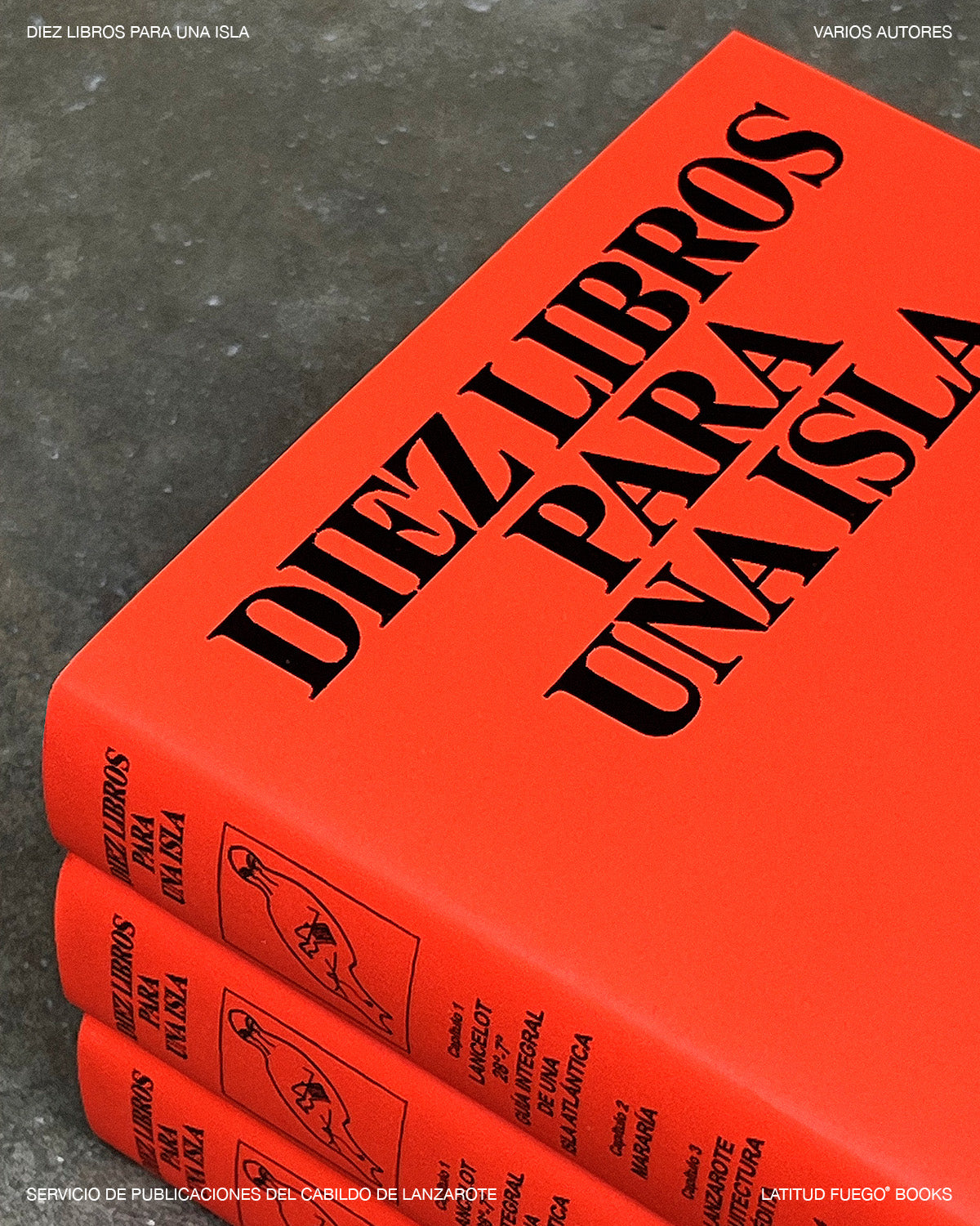 Diez libros para una isla.