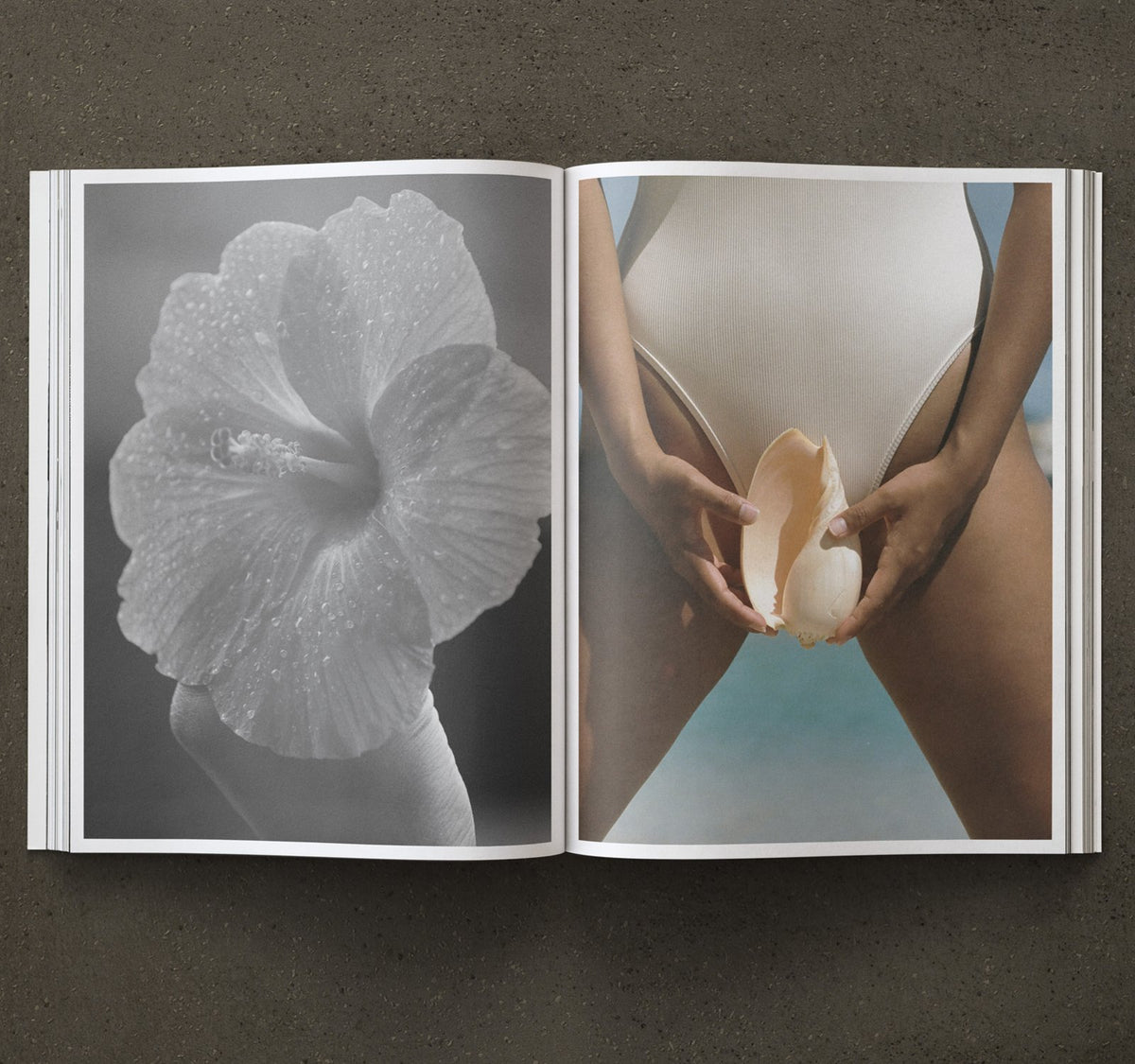 Sheseas Mag - Issue 02