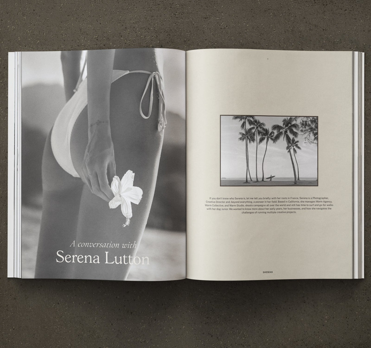 Sheseas Mag - Issue 02